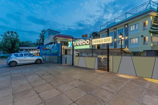 Treebo Premium Emerald Dove