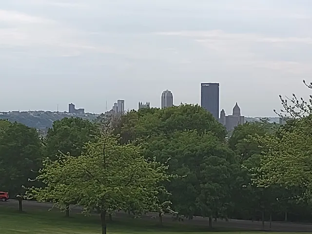 Schenley Park Overlook