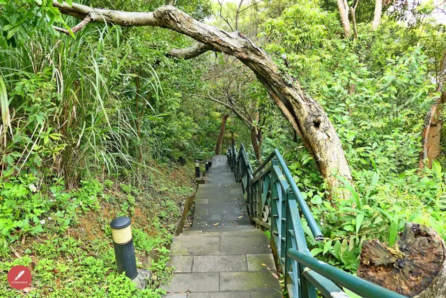 和美山步道（綠線-親山步道）