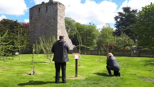 Haus Alba Bed and Breakfast incl. Tours