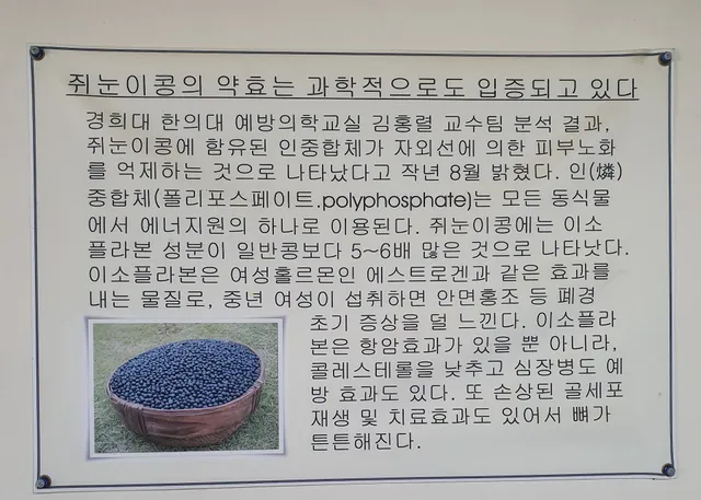 쥐눈이콩마을