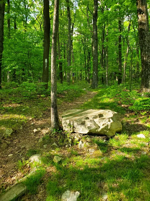 Appalachian Trail trailhead