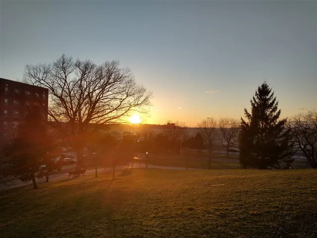 Owl's Head Park Dog Run