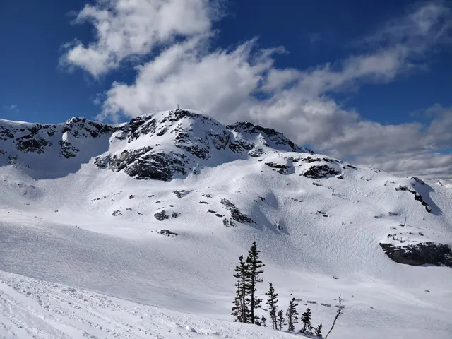 Whistler Mountain