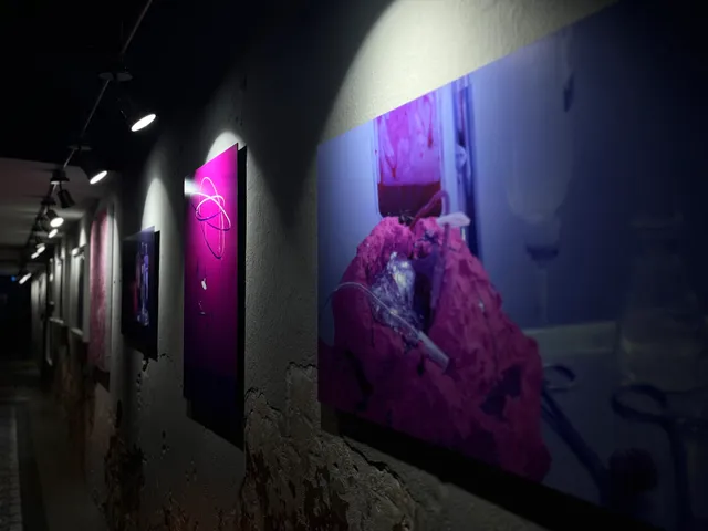 Coyotito Beds Coyoacán | Confort y flexibilidad