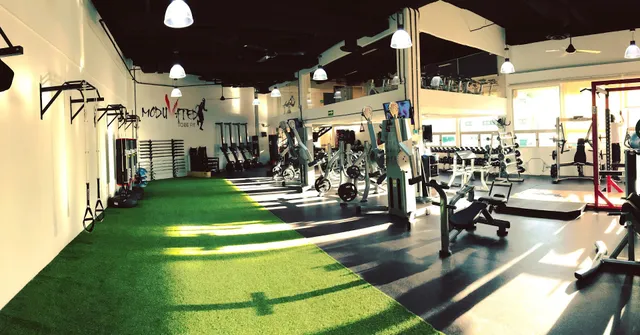 Moduvated San José del Cabo