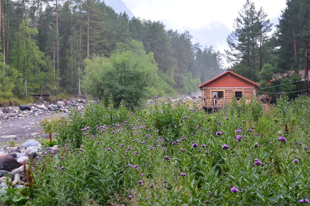 Баня на дровах forest house