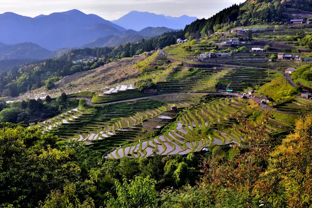 Maruyama Senmaida Rice Terraces