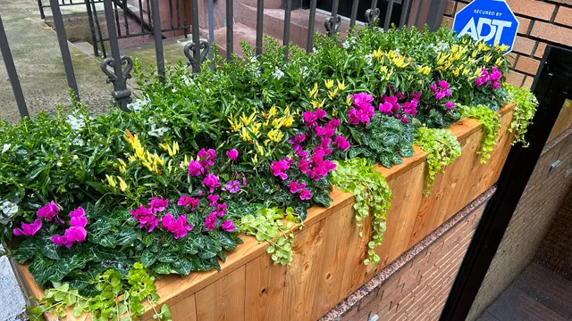 Metro Green Gardening Corp.