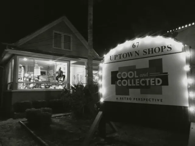 Cool and Collected Vintage & Antiques