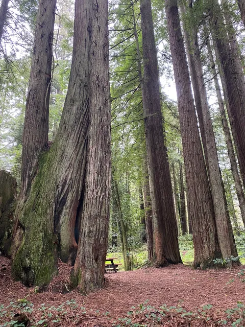 Ruby Van Deventer County Park