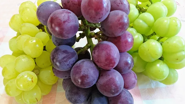 Mori Giant Peak Garden