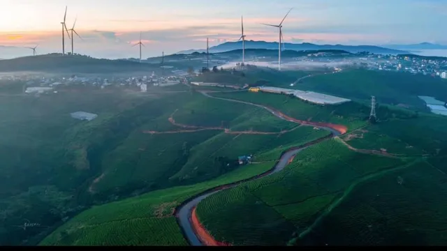 Đồi Trà Cầu Đất