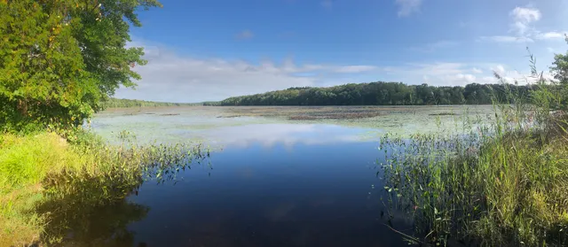 James L. Goodwin State Forest