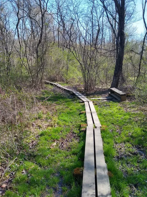 Trumbo Hollow Hike Trailhead - Appalachian Trail