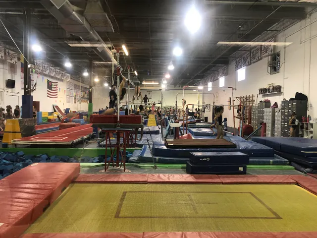 Go for the Gold Gymnastics Academy