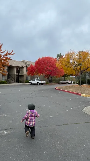 Placer Village Apartments