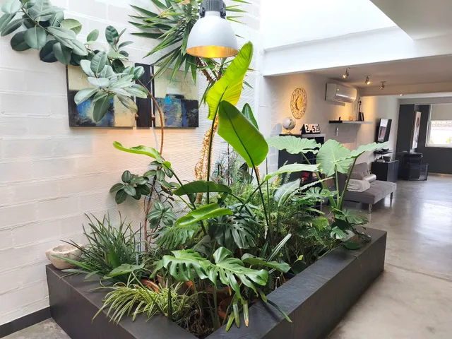 Loft Carrasketa, Alfafara.