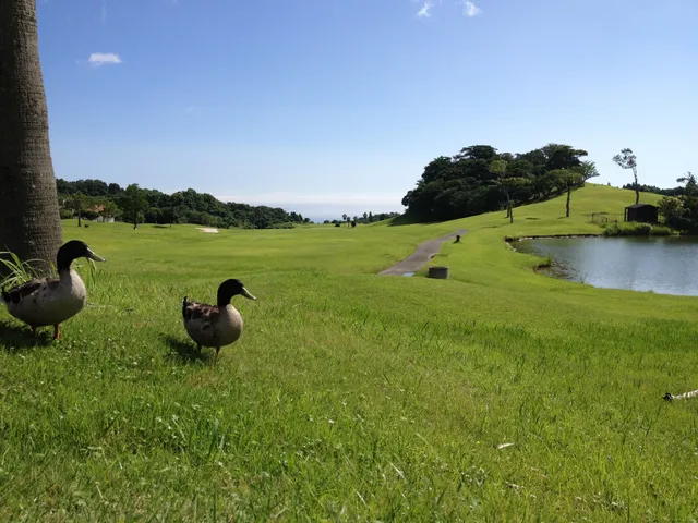 Pacific Blue Country Club