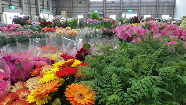 Kagoshima Prefecture Flower and Horticulture Agricultural Cooperative.(Kagoshima Flower Wholesale Market.)