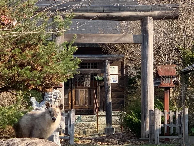 AKAYA GLAMPING HOUSE