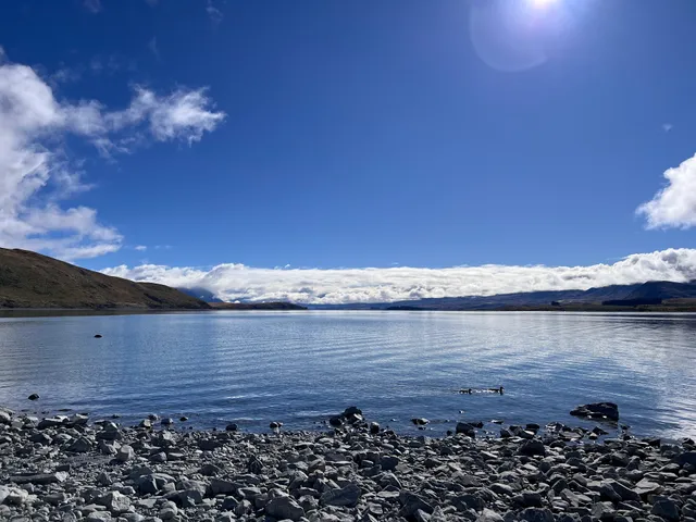 Lake Tekapo Picnic Bench