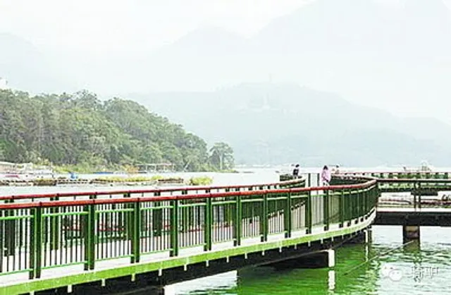 Sun Moon Lake Bed and Breakfast European style casual