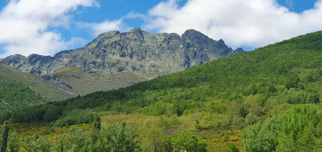 Casa Rural Fuentes Carrionas