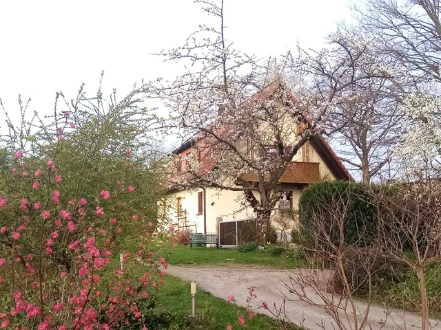 Ferienhaus Waldblick
