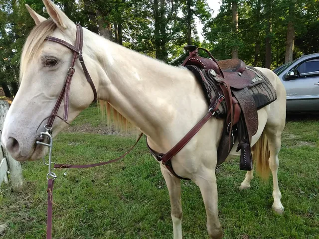 Brodhead Fairgrounds Thacker Field