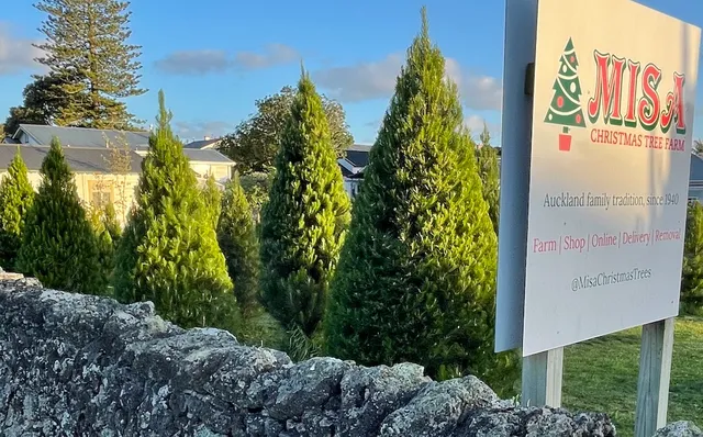 Misa Christmas Tree Farm