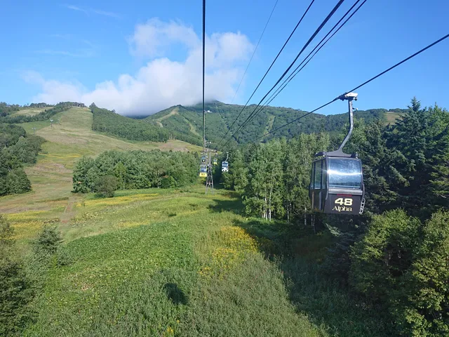 Unkai Gondola