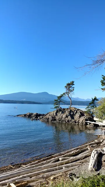 Roger Curtis Beaches