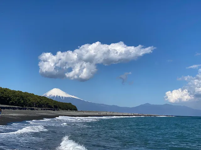 Miho no Matsubara (Miho Pine Forest)