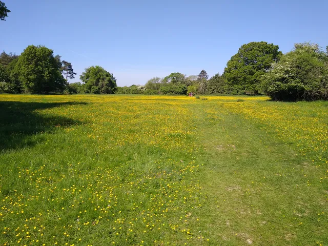 National Trust - Hatfield Forest