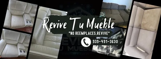 Revive Tu Mueble