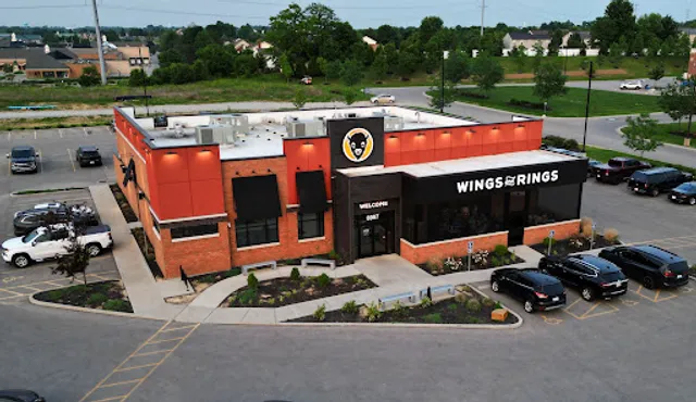 Wings and Rings