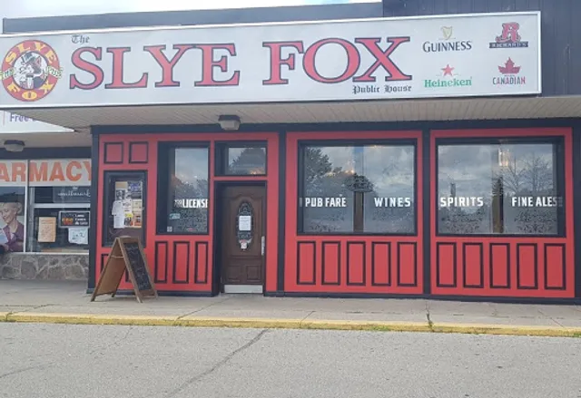 The Slye Fox