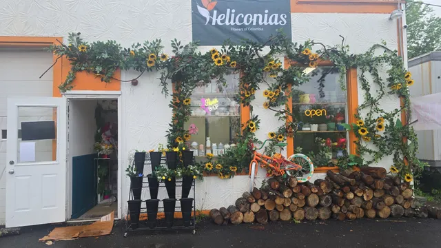 Heliconias Flowers of Colombia
