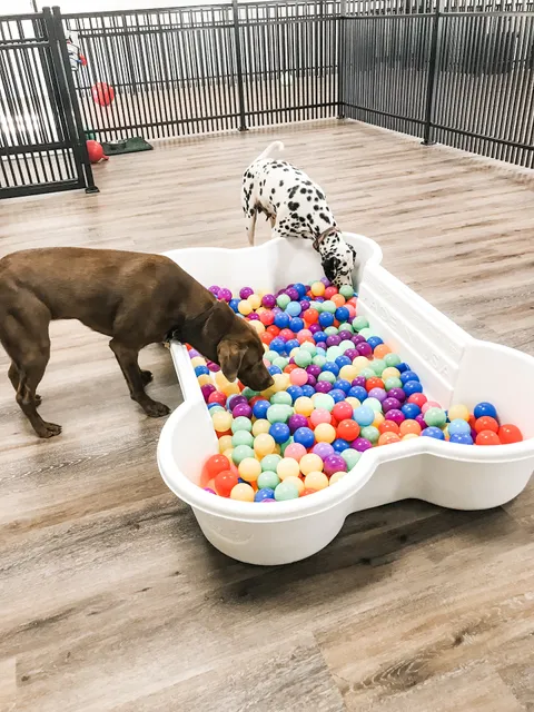 Happy Tails Groom & Board