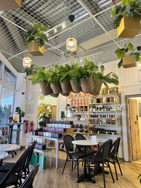 Co Chocolat Café and Factory