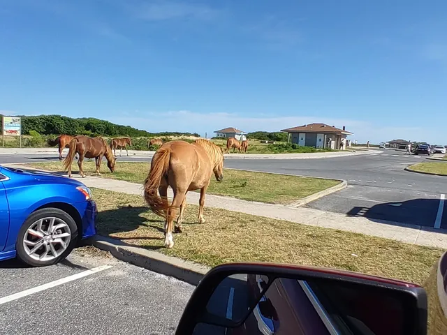 Assateague Island National Seashore Entrance Station