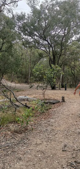 Latina Ave Trail Head Seven Hills Bushland Reserve