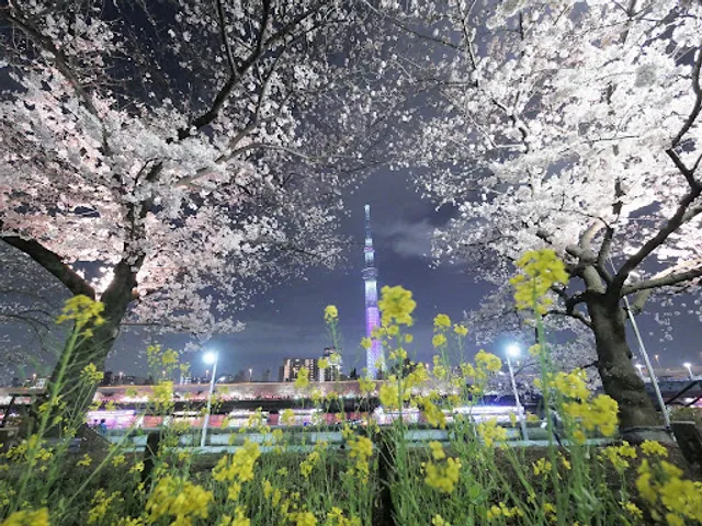 Sumida Park Playground