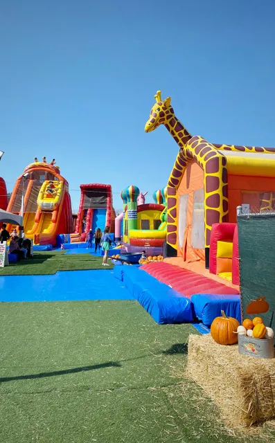 ABC Tree Farms & Pick of the Patch Pumpkins - SMNO