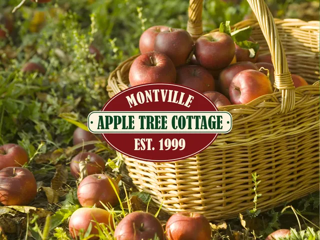 Apple Tree Cottage, Montville.
