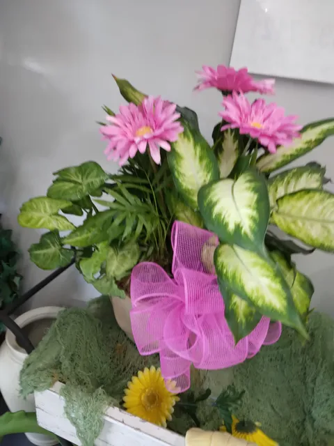 Blue Ridge Gifts & Florist