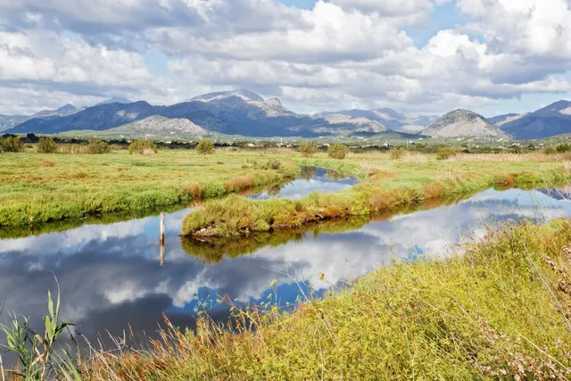 Reserva Natural de s'Albufereta