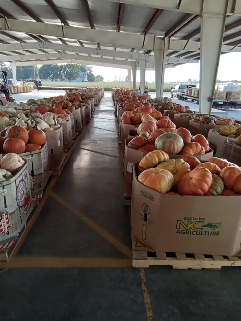 Arthur Produce Auction