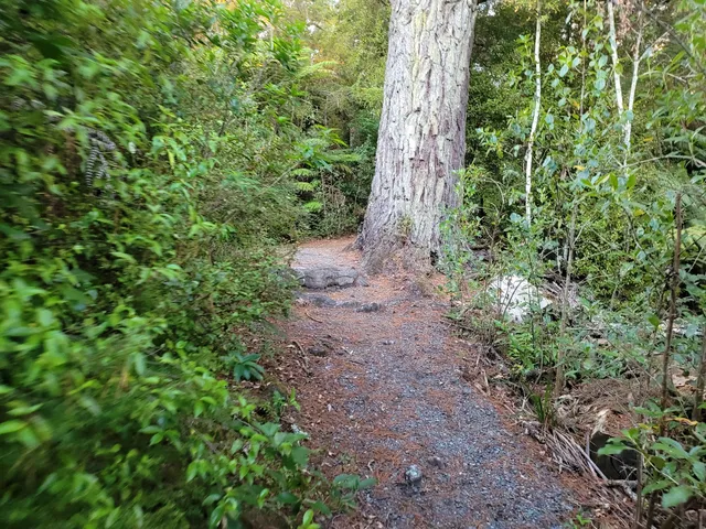 Mānutewhau Walk Reserve